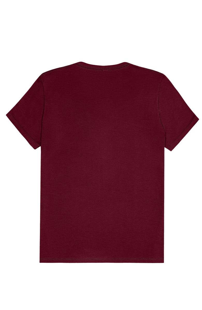 Dalix Womens Lil Matcha Jersey Tee, Alternate, color, Maroon