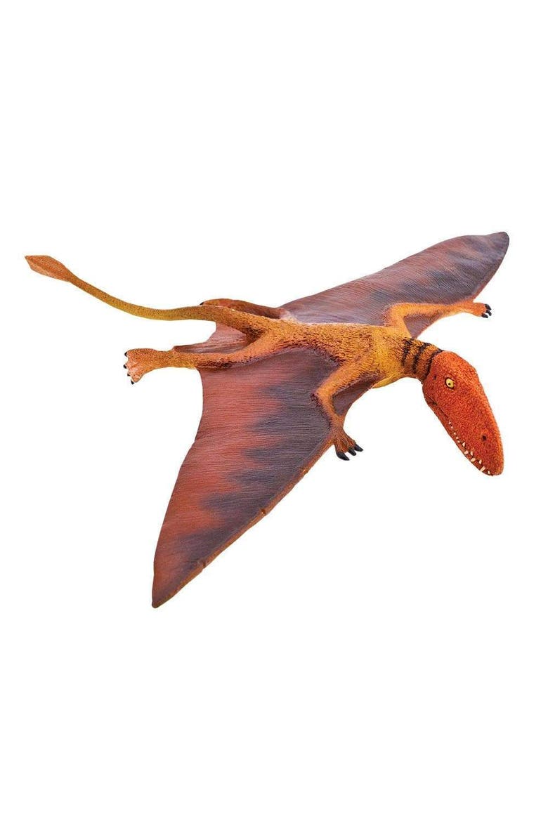 Safari Ltd. Dimorphodon Toy, Main, color, NO COLOR