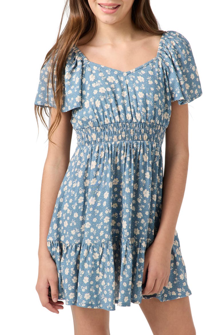 Kids' Langley Primrose Floral Dress, Main, color, PROVINCIAL BLUE
