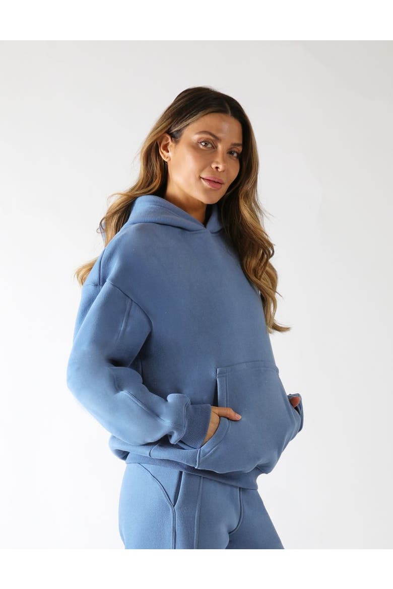 Buffalo Hoodie, Main, color, Washed Blue