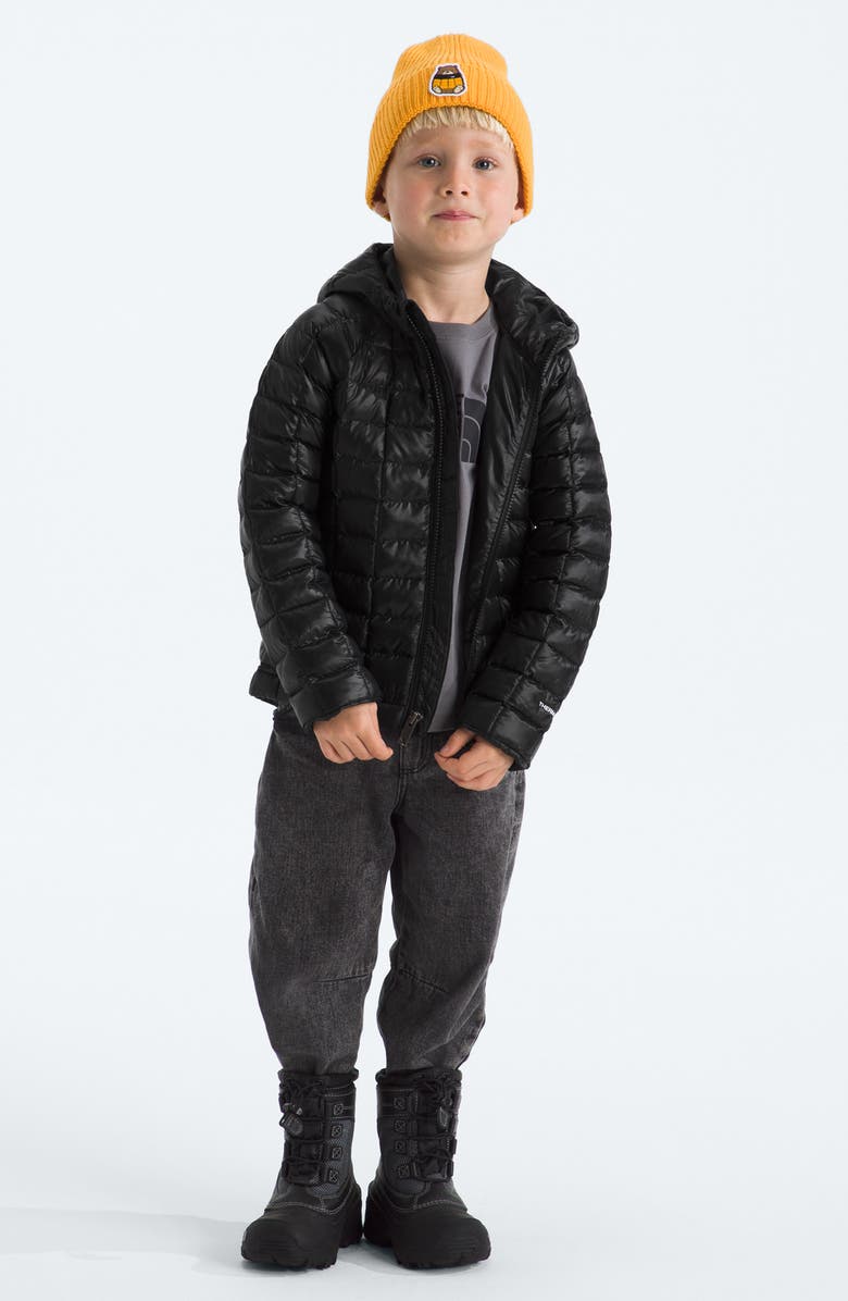 The North Face Kids' ThermoBall<sup>™</sup> Eco Hooded Jacket, Alternate, color, Tnf Black