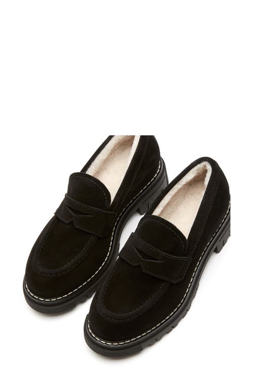 La Canadienne Donny Suede Platform Penny Loafers In Black
