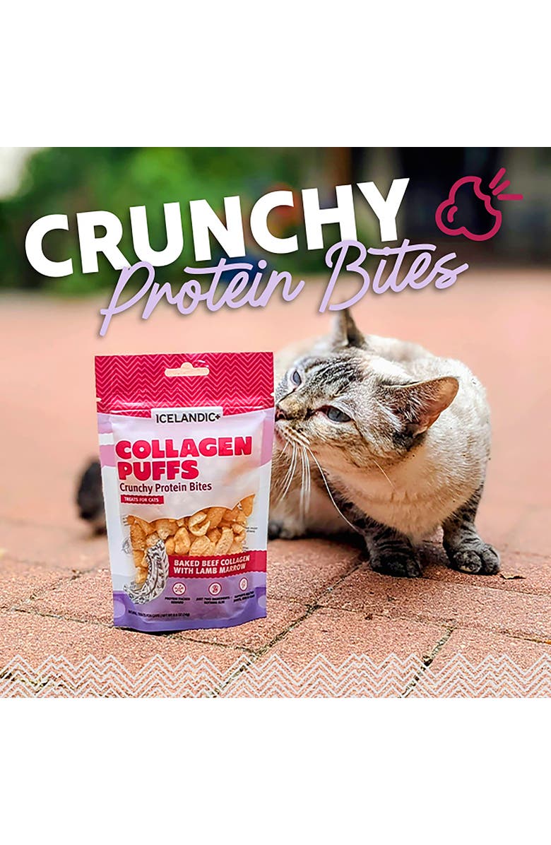 ICELANDIC+ Collagen Puffs Baked Beef Collagen With Lamb Marrow 0.5Oz Bag, Alternate, color,