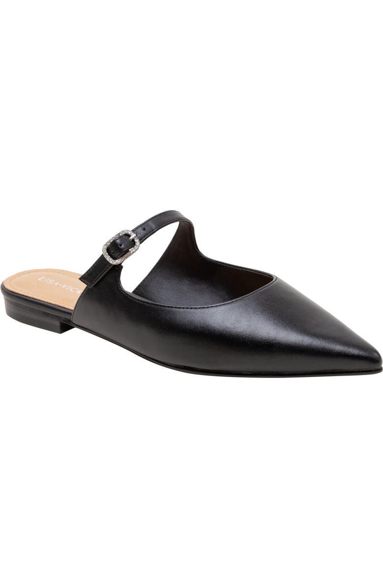 Lisa Vicky Moment Pointed Toe Mule, Main, color,