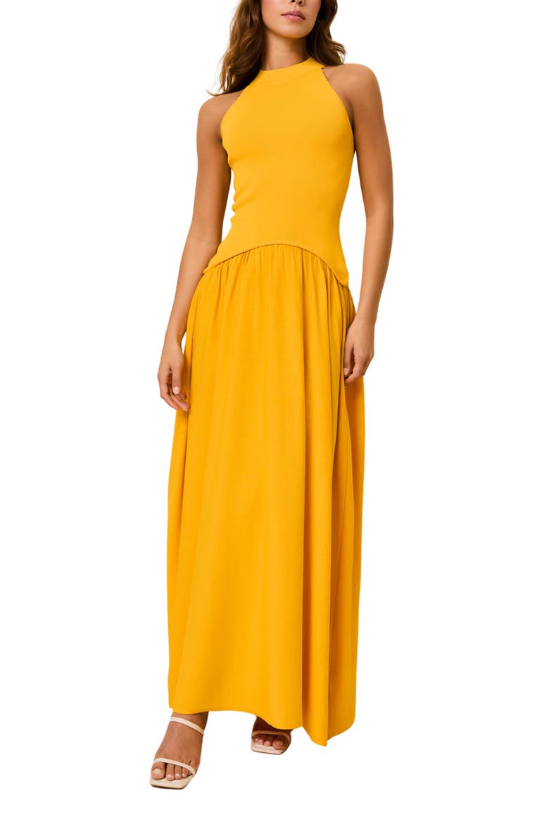 The Isola Sleeveless Maxi Dress, Main, color, PINEAPPLE