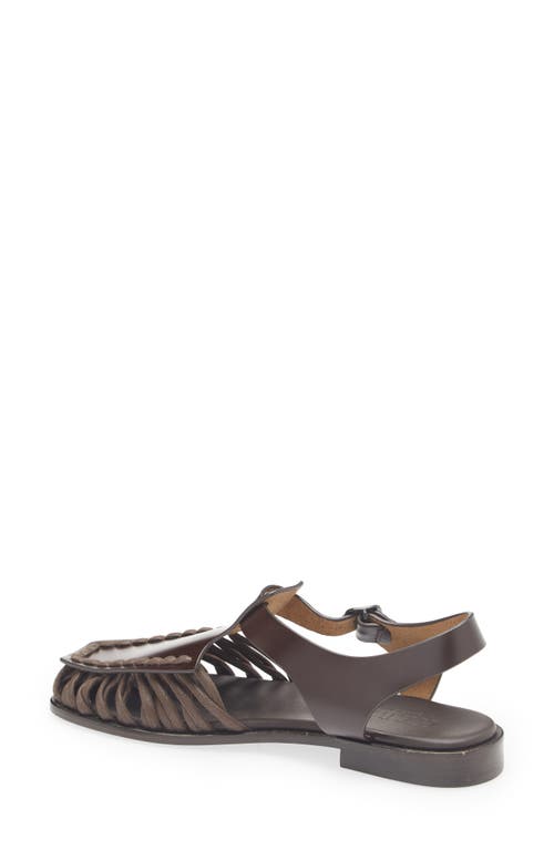 Hereu Alaro Ankle Strap Sandal In Brown