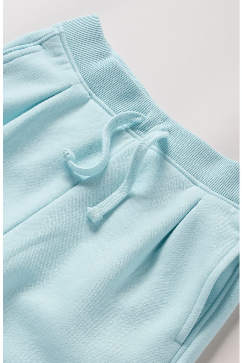 Cloud Soft Pleated Wide Leg Knit Pants, Alternate, color, BLUE GLOW