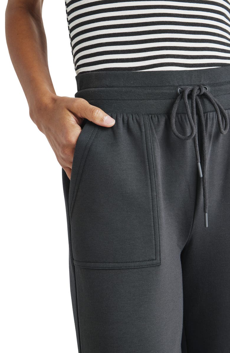Splendid Caprice Wide Leg Sweatpants, Alternate, color, 