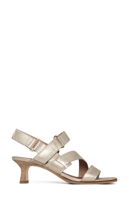 Donald Pliner Fisherman Kitten Heel Sandal In Platino