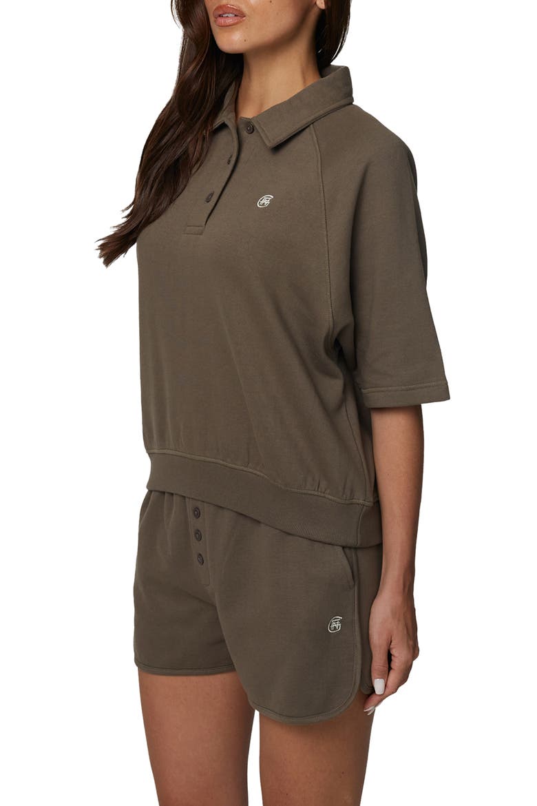 Boxy-Fit Raglan Sweat Polo, Alternate, color, Brown