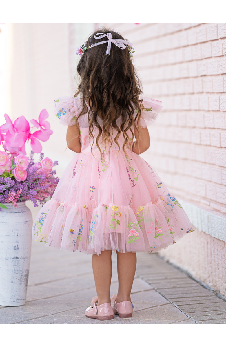 Mia Belle Girls Girls Blush Fairy Garden Embroidered Floral Tutu Dress, Alternate, color, Pink