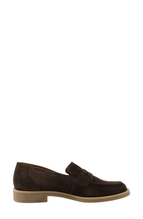 Paul Green Cohen Penny Loafer In Brown