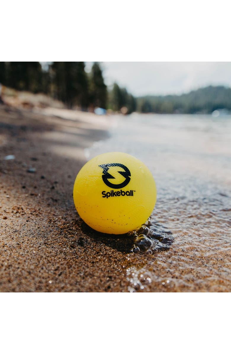 Spikeball Standard Balls 2 Pack, 3.5 Inch Roundnet Accessory, Alternate, color, Multicolored