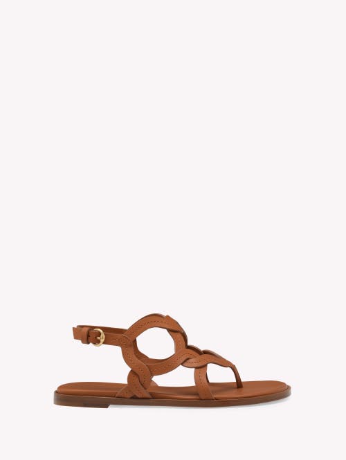 Gianvito Rossi Amalfi Thong Sandal In Brown