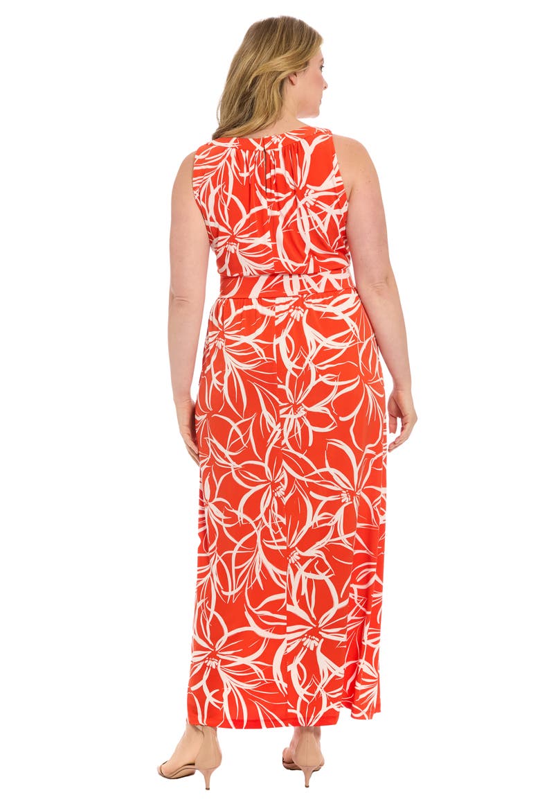 Jersey Maxi Dress, Alternate, color, RED WHITE