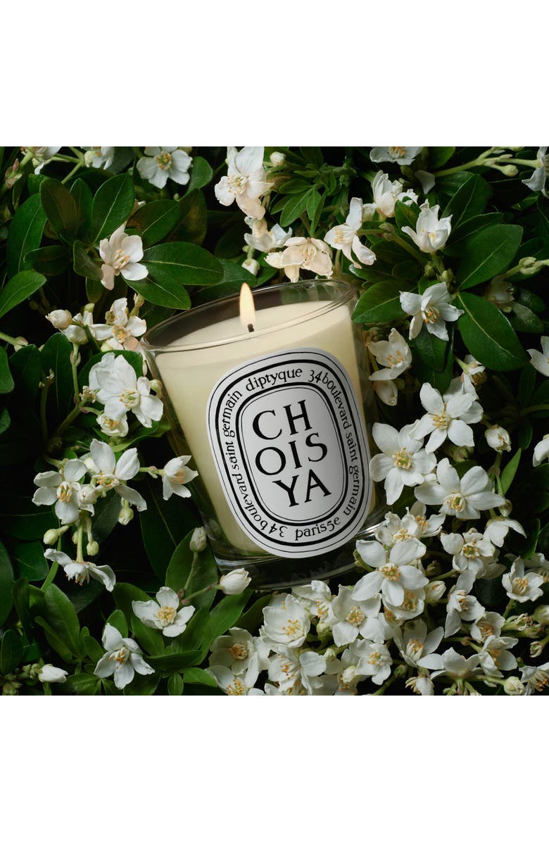 Diptyque Choisya (Orange Blossom) Scented Candle, Alternate, color, 
