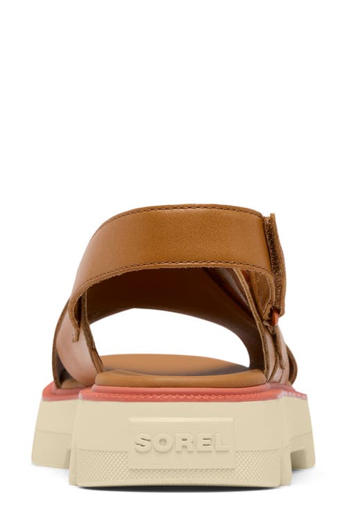 Sorel Rein Cb Crisscross Sandal In Canyon Gold/bleached Ceramic