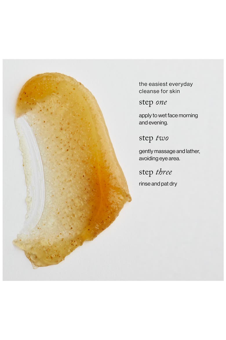 Cloudberry Exfoliating Jelly Cleanser, Alternate, color, NO COLOR