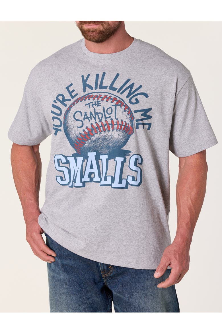 Big & Tall You're Killing Me Smalls Graphic Tee, Main, color, GREY HEATHER