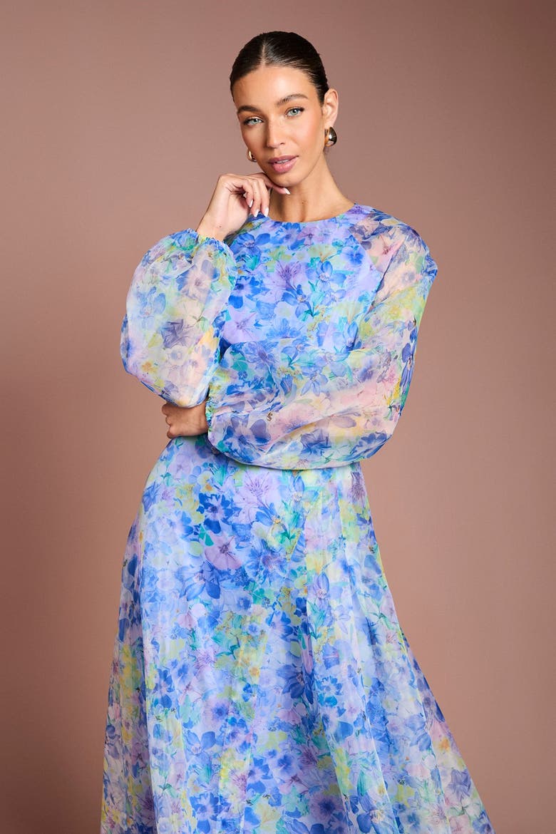 Organza Floral Puff Sleeve Midi Dress, Alternate, color, Blue