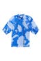 selected Cobalt-Blue