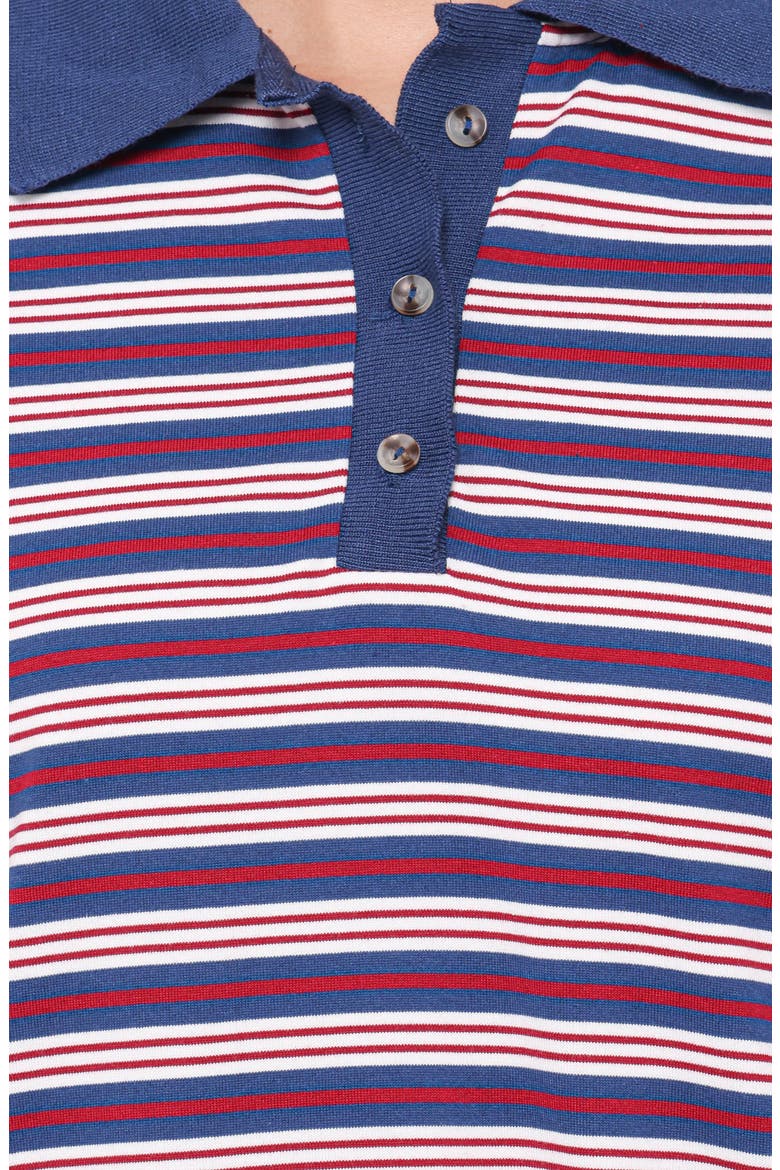 Beau Long Sleeve Polo Top, Alternate, color, NAVY STRIPE