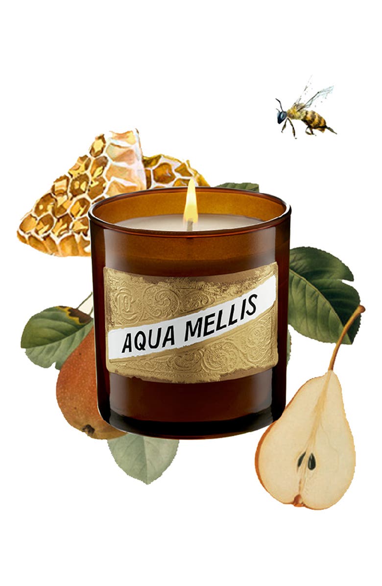 C.O. Bigelow Aqua Mellis Candle, Alternate, color, 