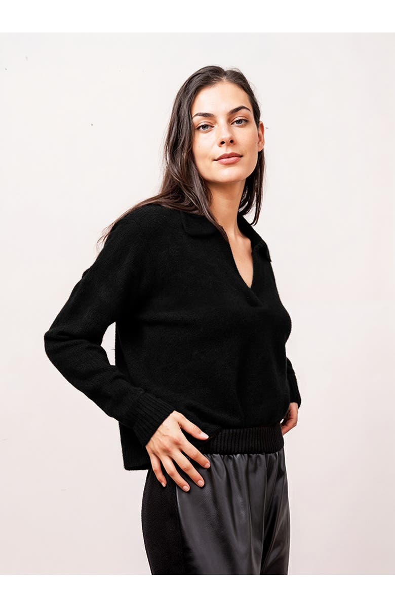 Central Park West Robbie V-Neck Polo, Main, color, Black