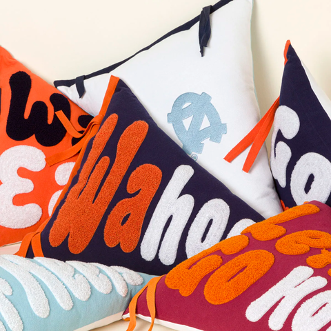 Your College Cheer Pennant Pillow