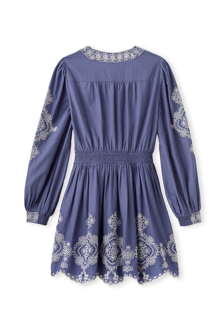 Blake Embroidered Mini Dress, Alternate, color, Indigo