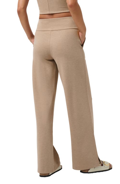 Travismathew Spa Day Pants In Heather Portabella