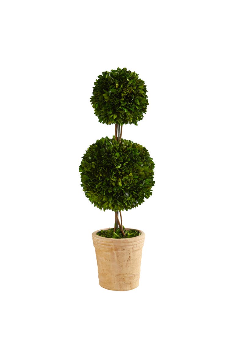 2.5-ft Preserved Boxwood Double Ball Topiary Tree in Decorative Planter, Main, color, Green