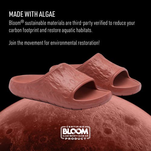 Klly Rover M Slide In Burnt Brick - Regular