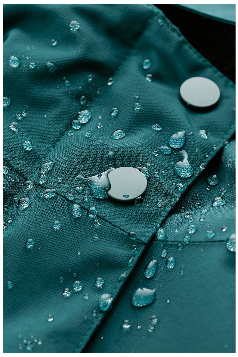 Janelle Waterproof Hooded Raincoat, Alternate, color, LOCH