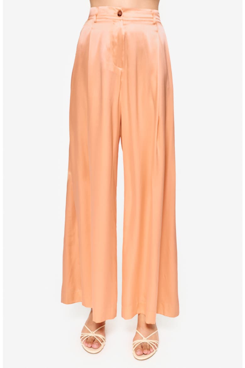 Fabian High Waist Wide Leg Silk Pants, Alternate, color, CANTALOUPE