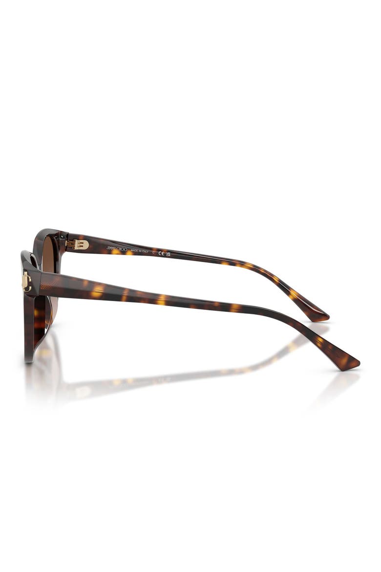 55mm Gradient Phantos Sunglasses, Alternate, color, HAVANA / GRADIENT BROWN