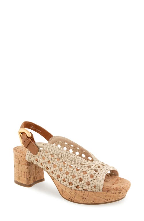AEROSOLES AEROSOLES CORNELIA SLINGBACK PLATFORM SANDAL