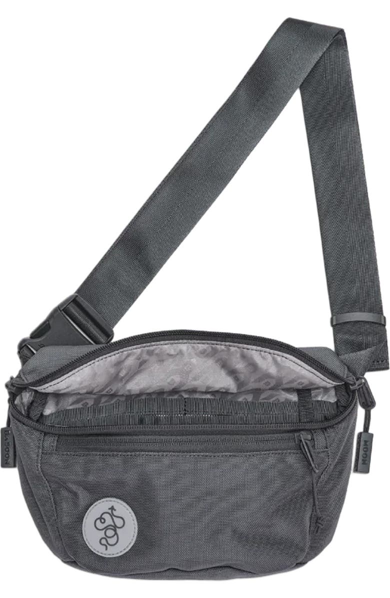 Baboon to the Moon Fannypack 3L, Alternate, color,