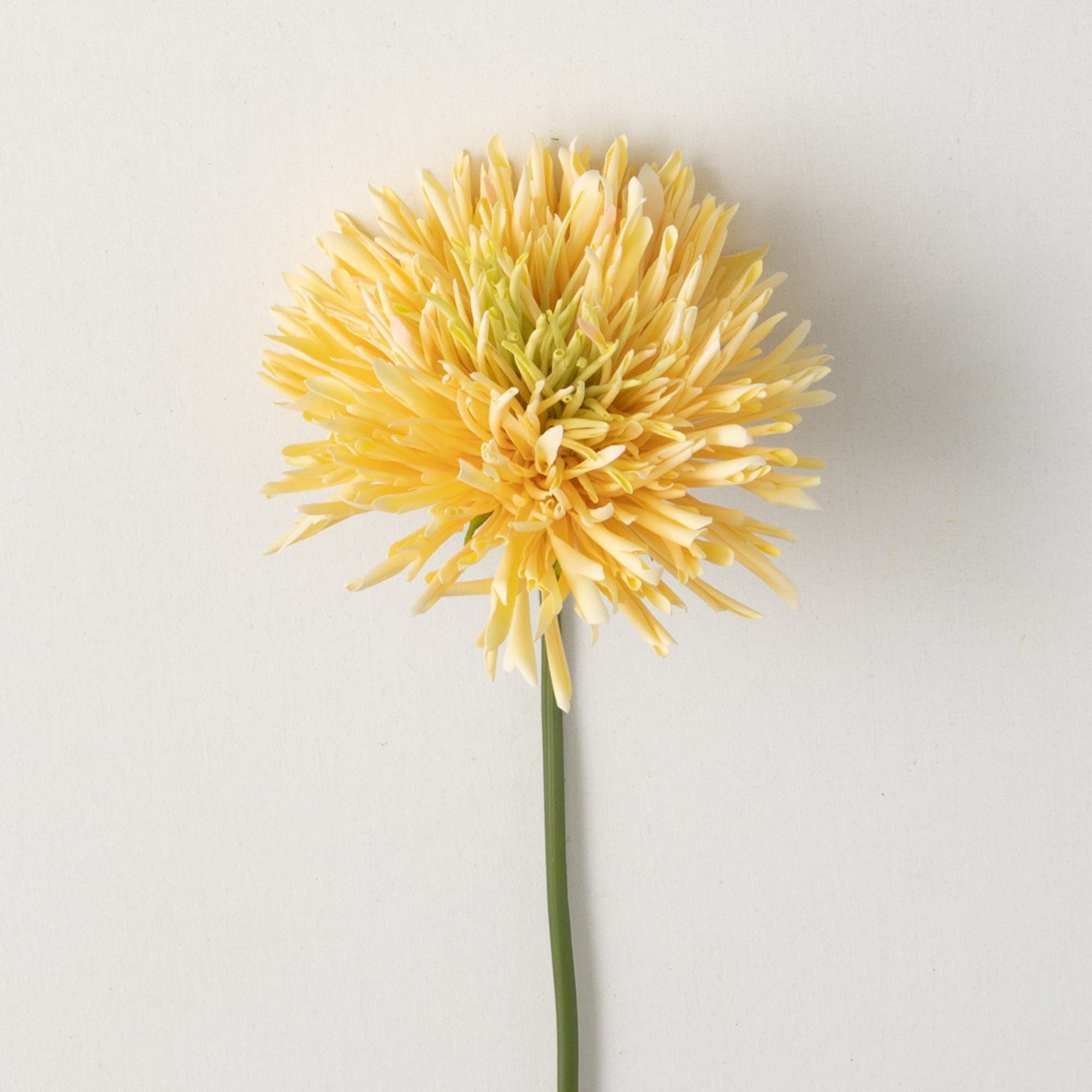 selected Yellow