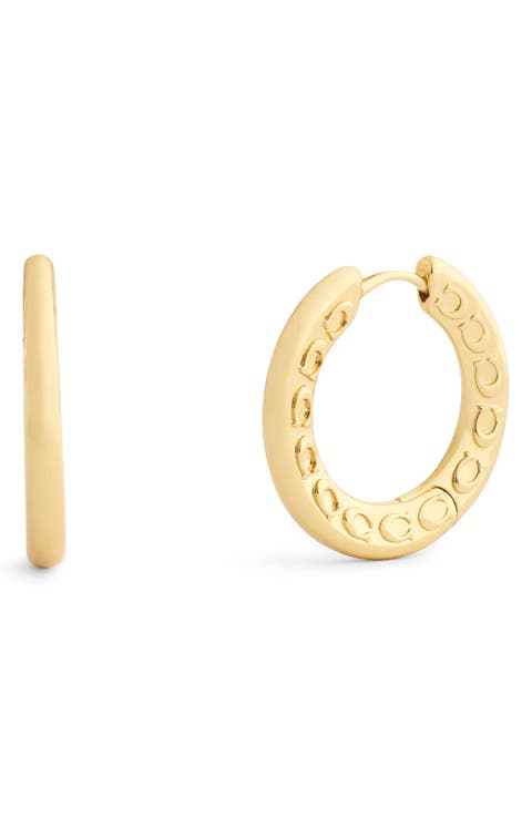 Small Hoop Earrings