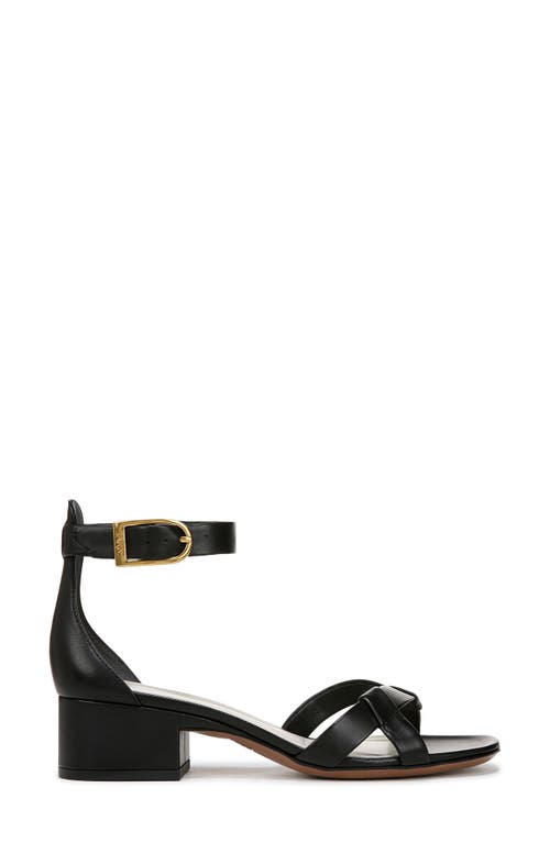 Shop Sarto By Franco Sarto Nerissa Ankle Strap Sandal In Black