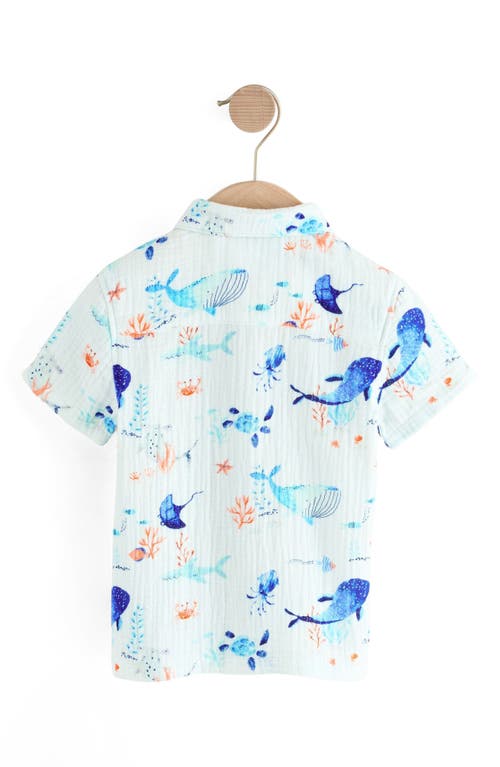 Next Kids' Sea Life Print Short Sleeve Cotton Button-up Shirt In Blue