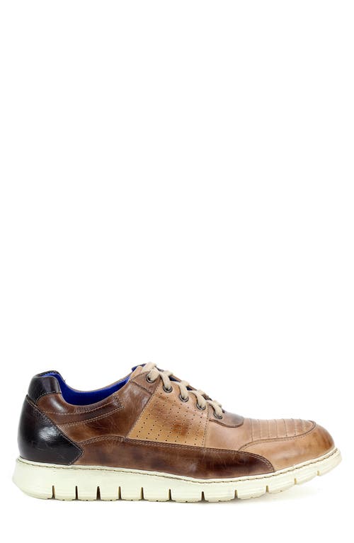 Bed Stu Fairman Sneaker In Cold Brew Rustic
