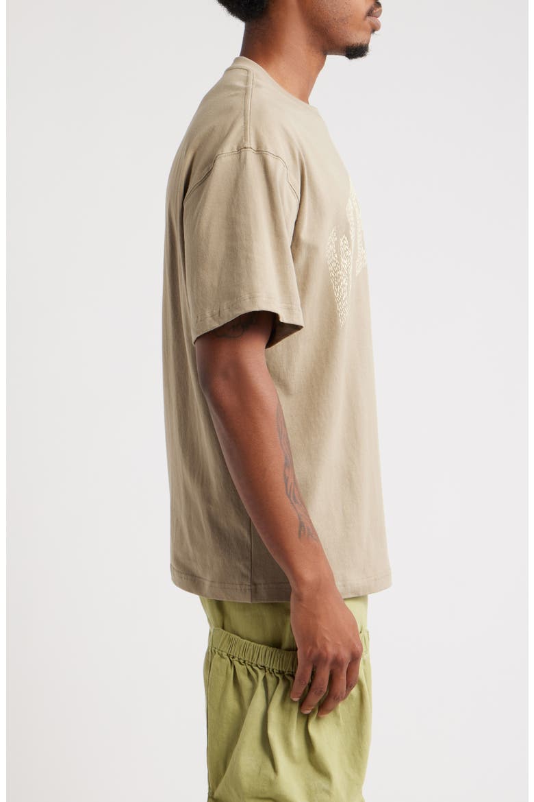 Why Not Oversize Cotton T-Shirt, Alternate, color, TAUPE