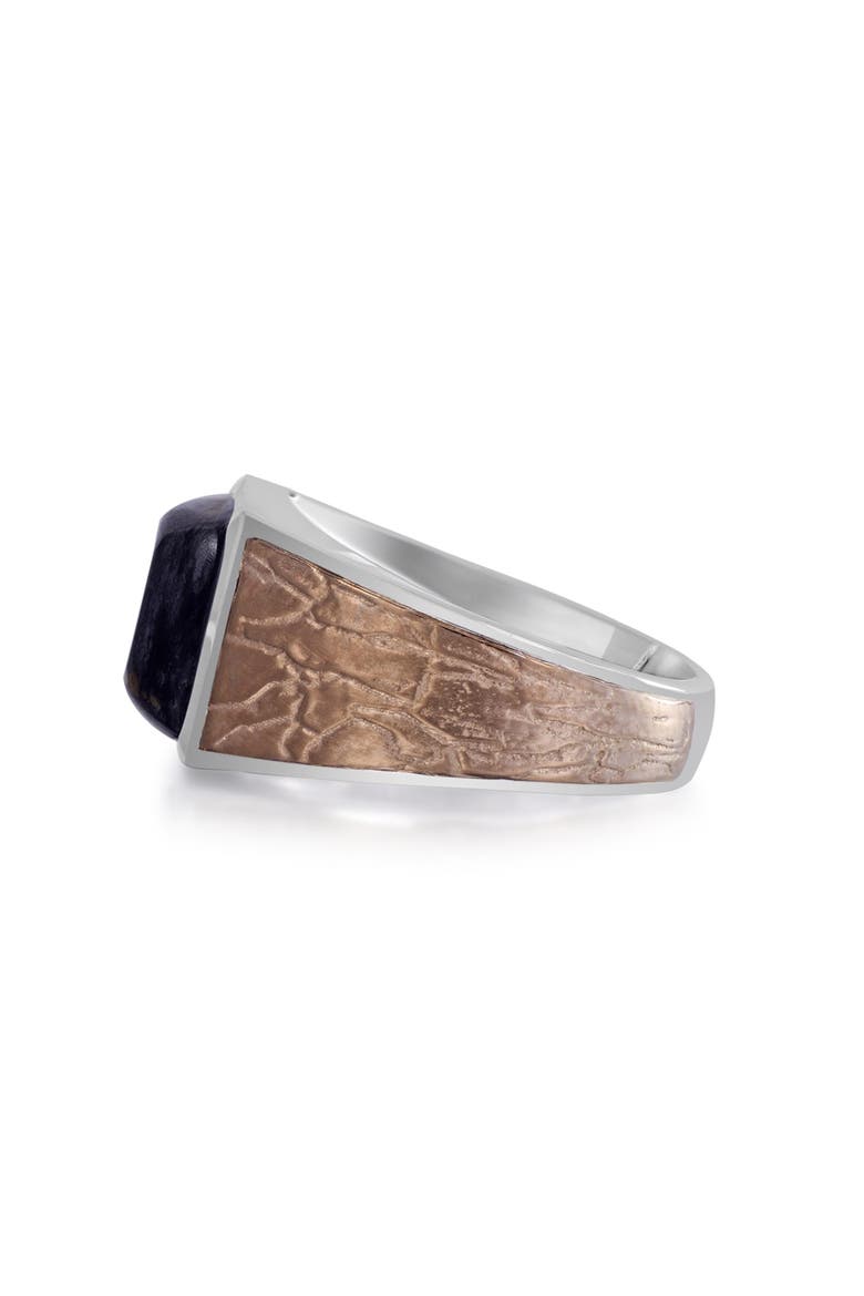 Grey Picture Agate Sterling Silver Men Signet Ring, Alternate, color, Silver