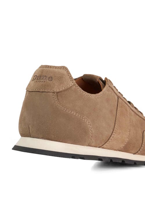 Dune London Treyson Suede Low Top Runner Sneaker In Multi
