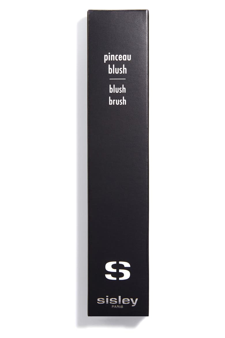 Blush Brush, Alternate, color, NO COLOR