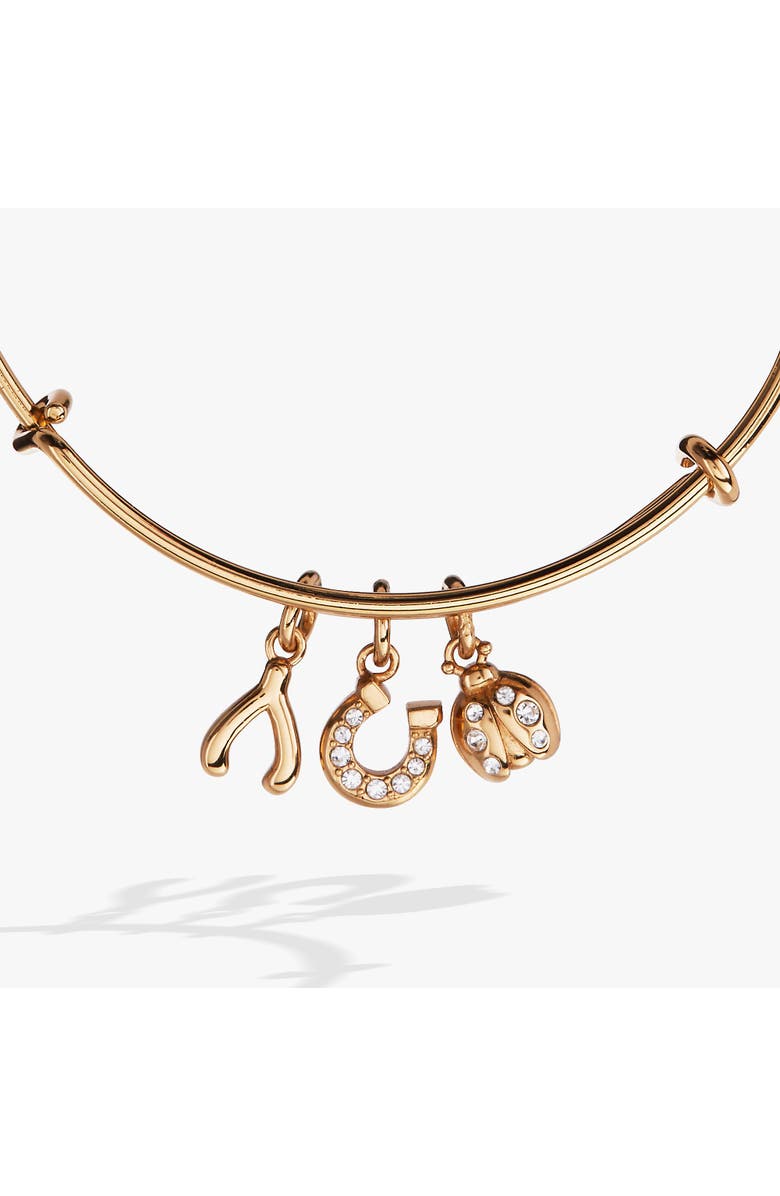 Alex and Ani Love and Luck Multi Charm Bangle Bracelet, Alternate, color, Gold