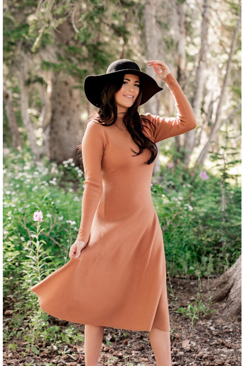 Long Sleeve Sweater Dress, Alternate, color, TAN CASHEW