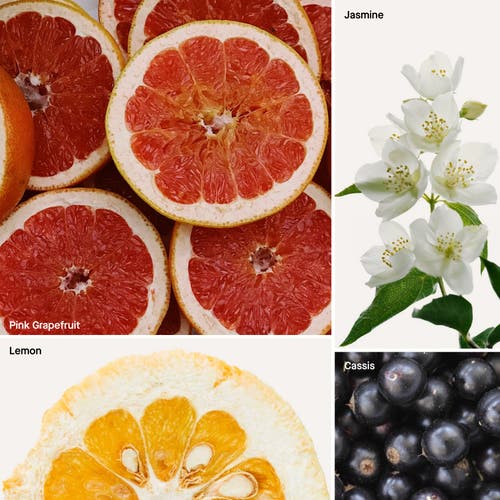 Dusa Fragrances Grapefruit In Multi